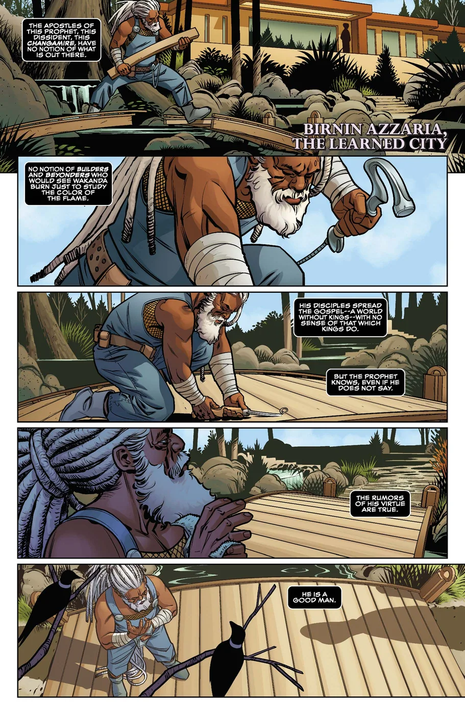 Interior preview from Black Panther: A nation under our feet